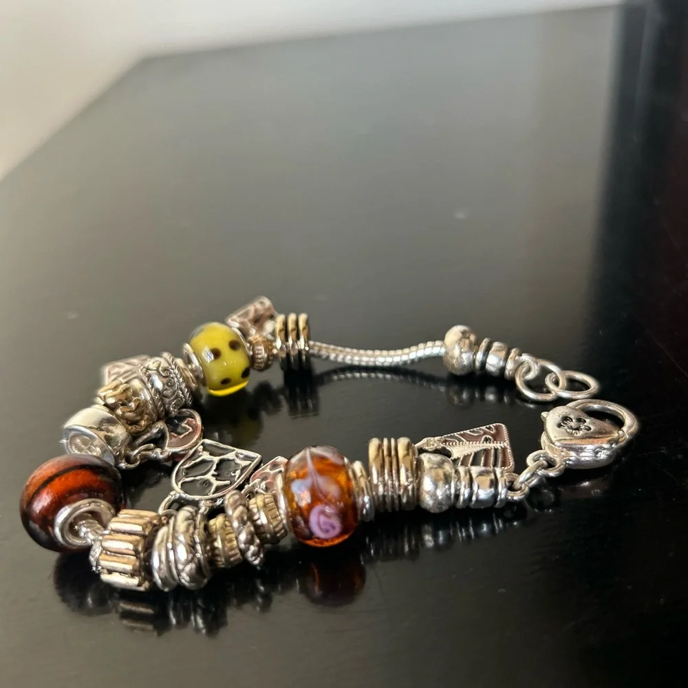 Elegant Silver and Brown Charm Bracelet